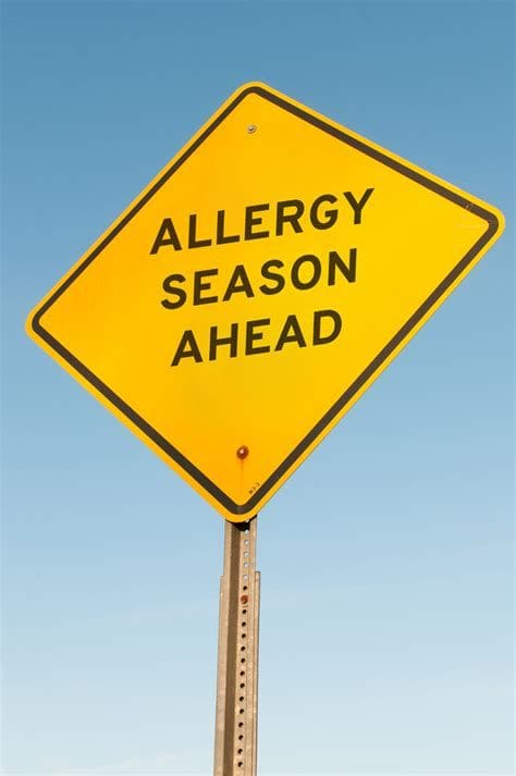 acupuncture for seasonal allergies mclean
